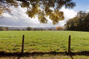 2/3 Hays Park_Communal Grounds (1)- click for photo gallery
